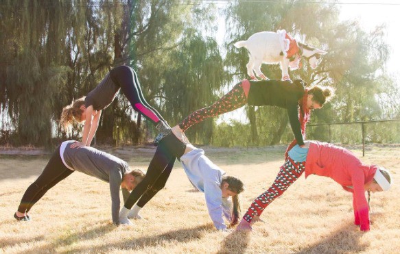 If Life Has You Down, Do a Handstand - The New York Times